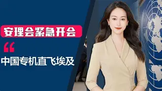 在联合国的会议上直接真空上阵